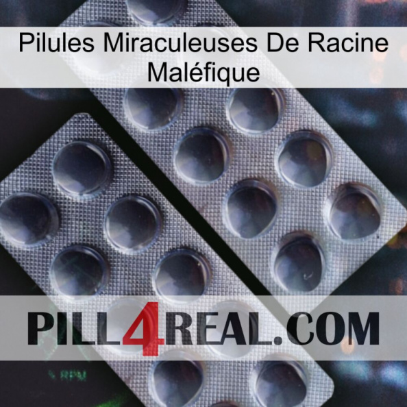 Pilules Miraculeuses De Racine Maléfique 31